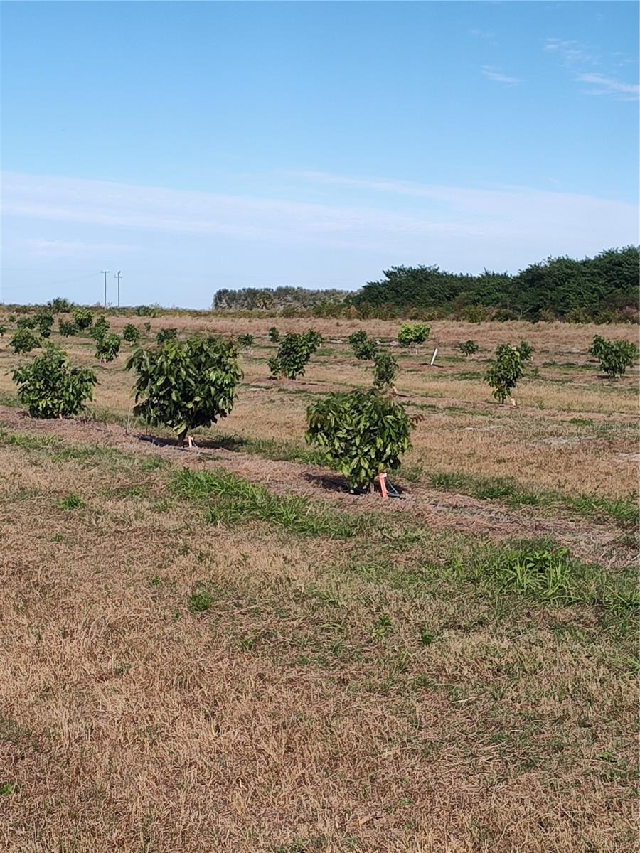 Image 24 of 30 For Address Not Provided