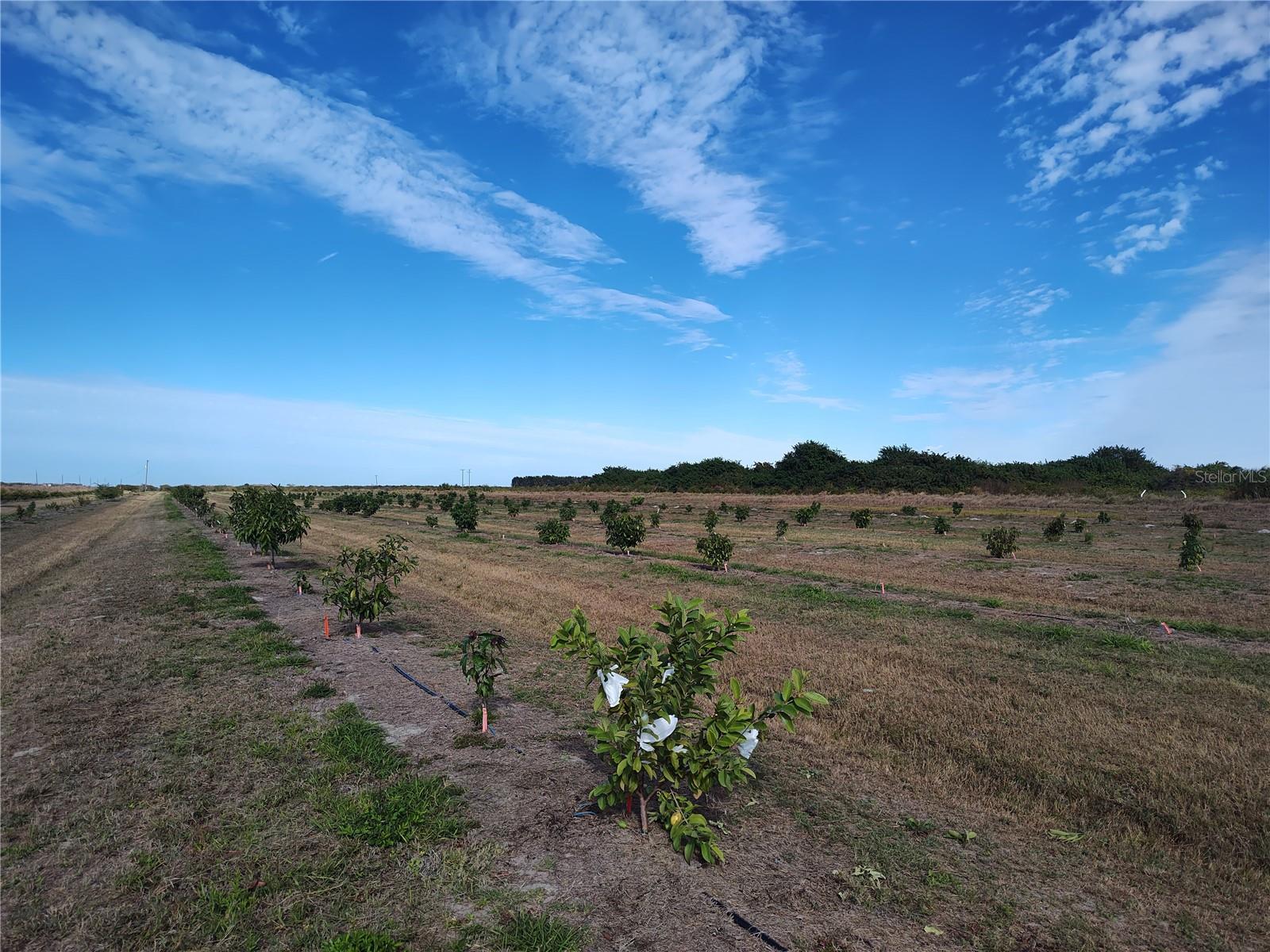 Image 25 of 30 For Address Not Provided