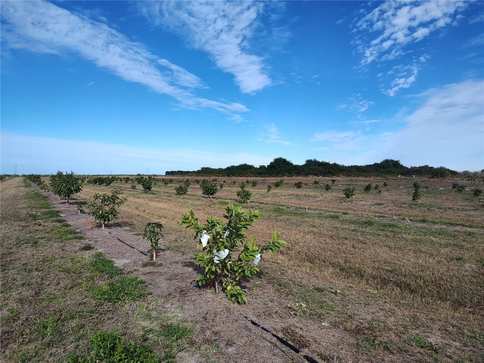 Image 26 of 30 For Address Not Provided