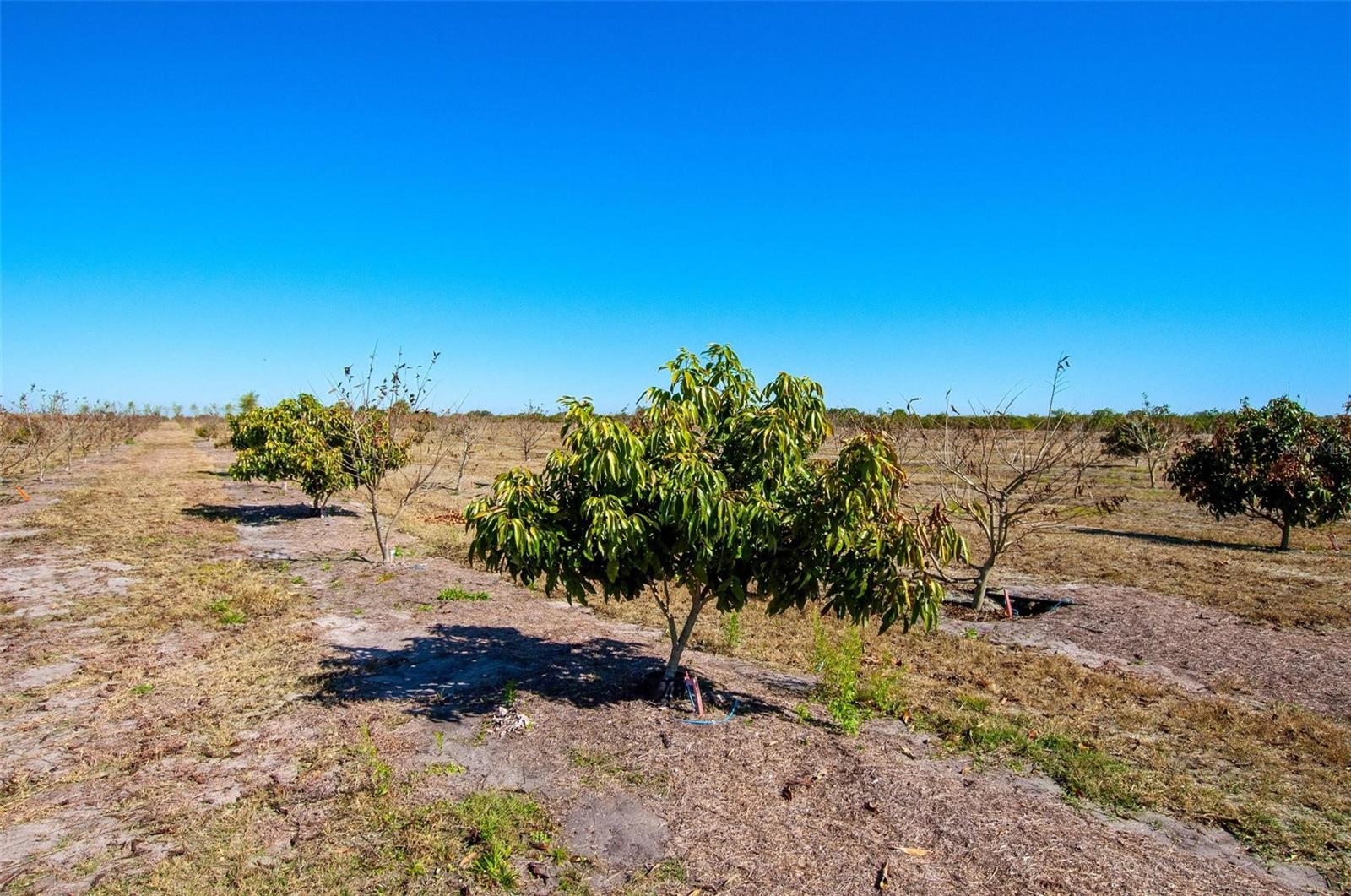 Image 9 of 30 For Address Not Provided