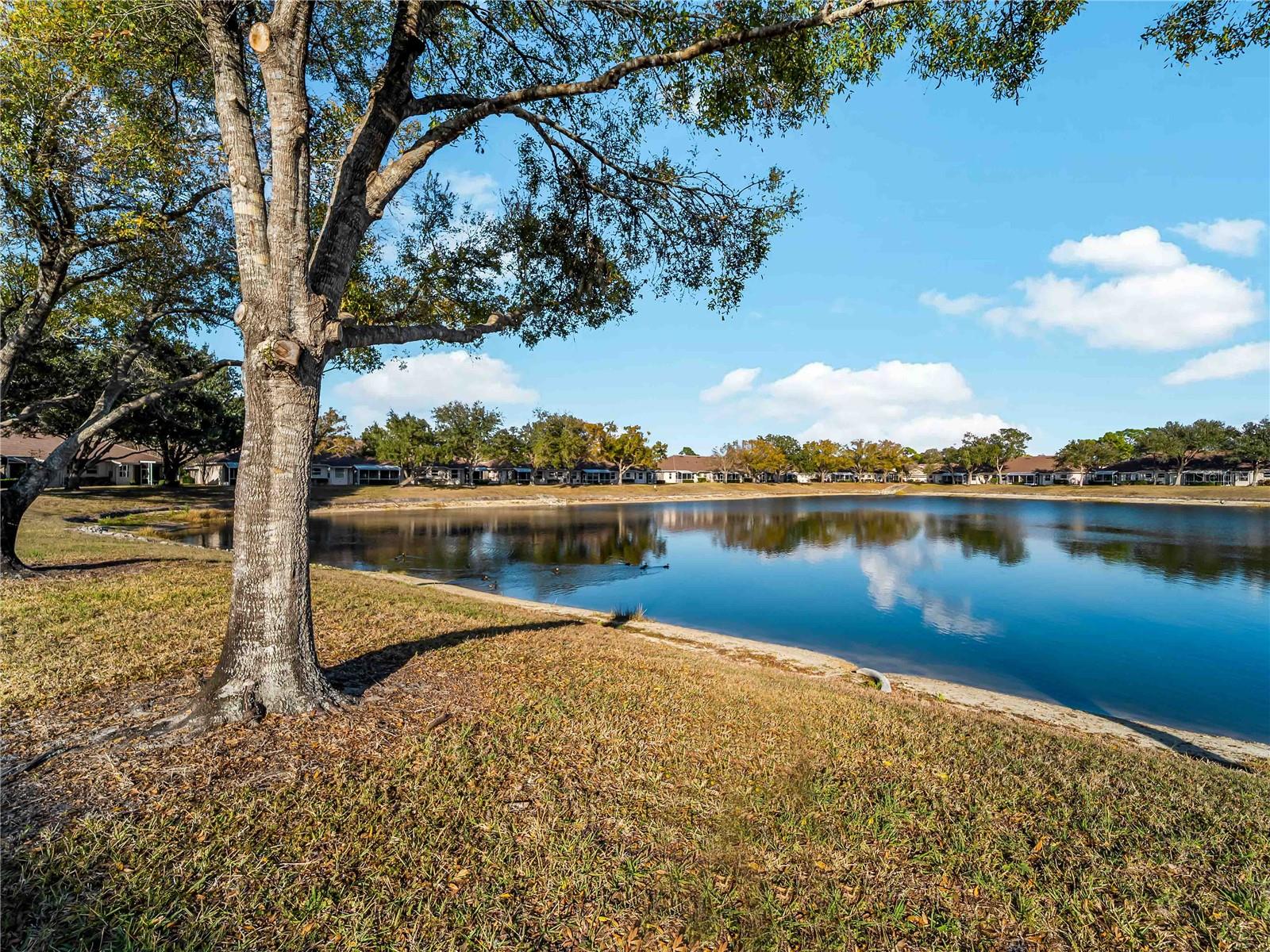 Image 40 of 72 For 2155 Lynx Run