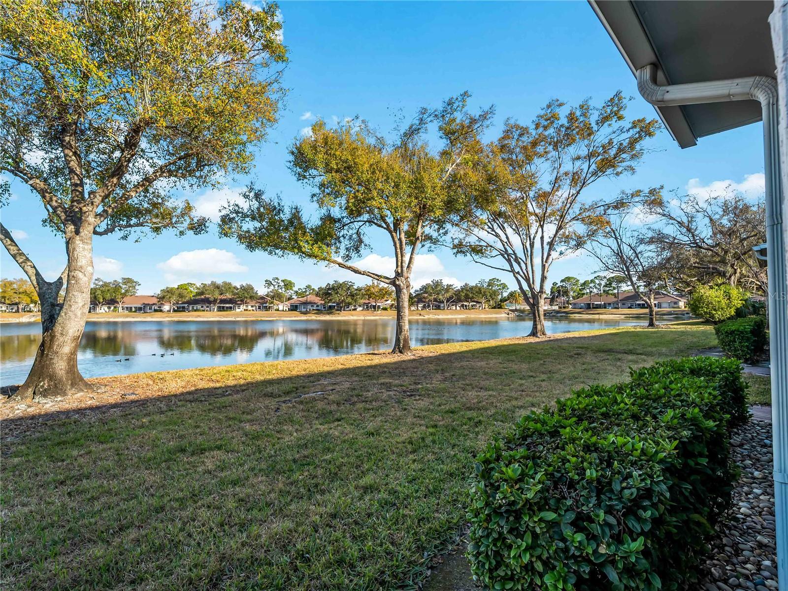 Image 42 of 72 For 2155 Lynx Run