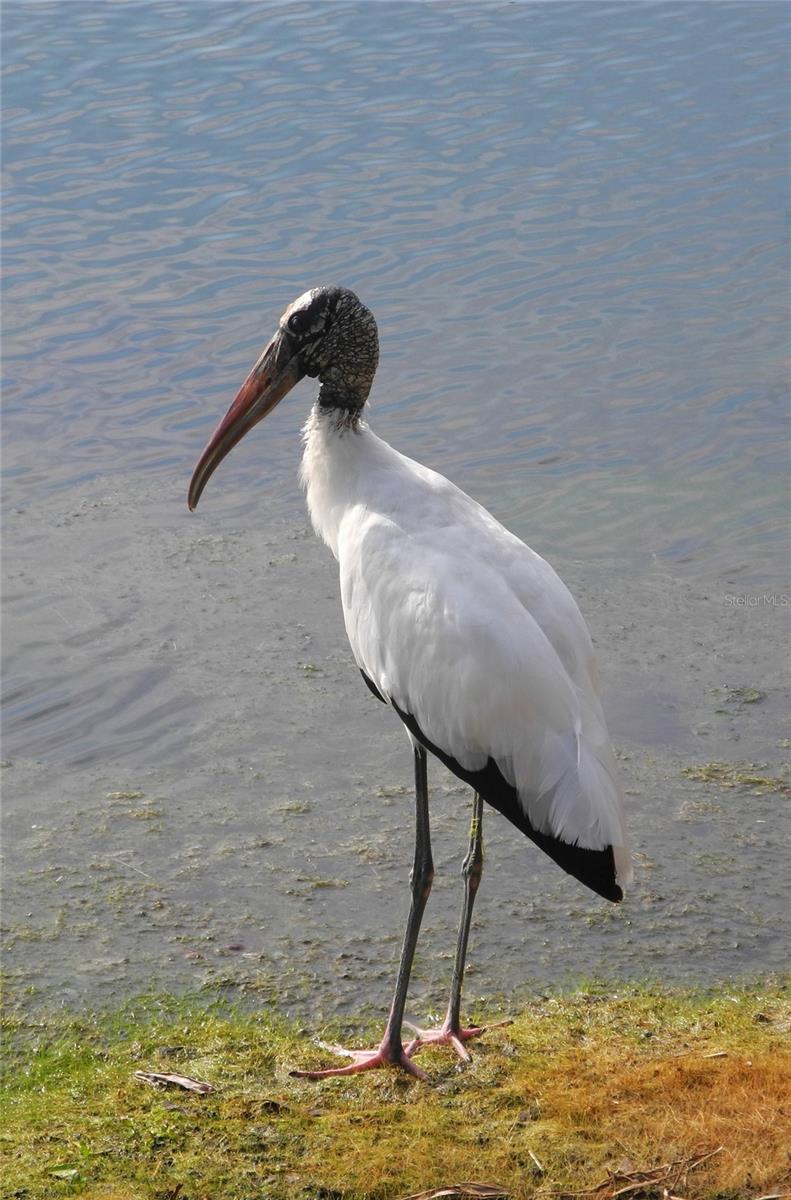 Image 29 of 31 For 4000 Oakview Drive L8