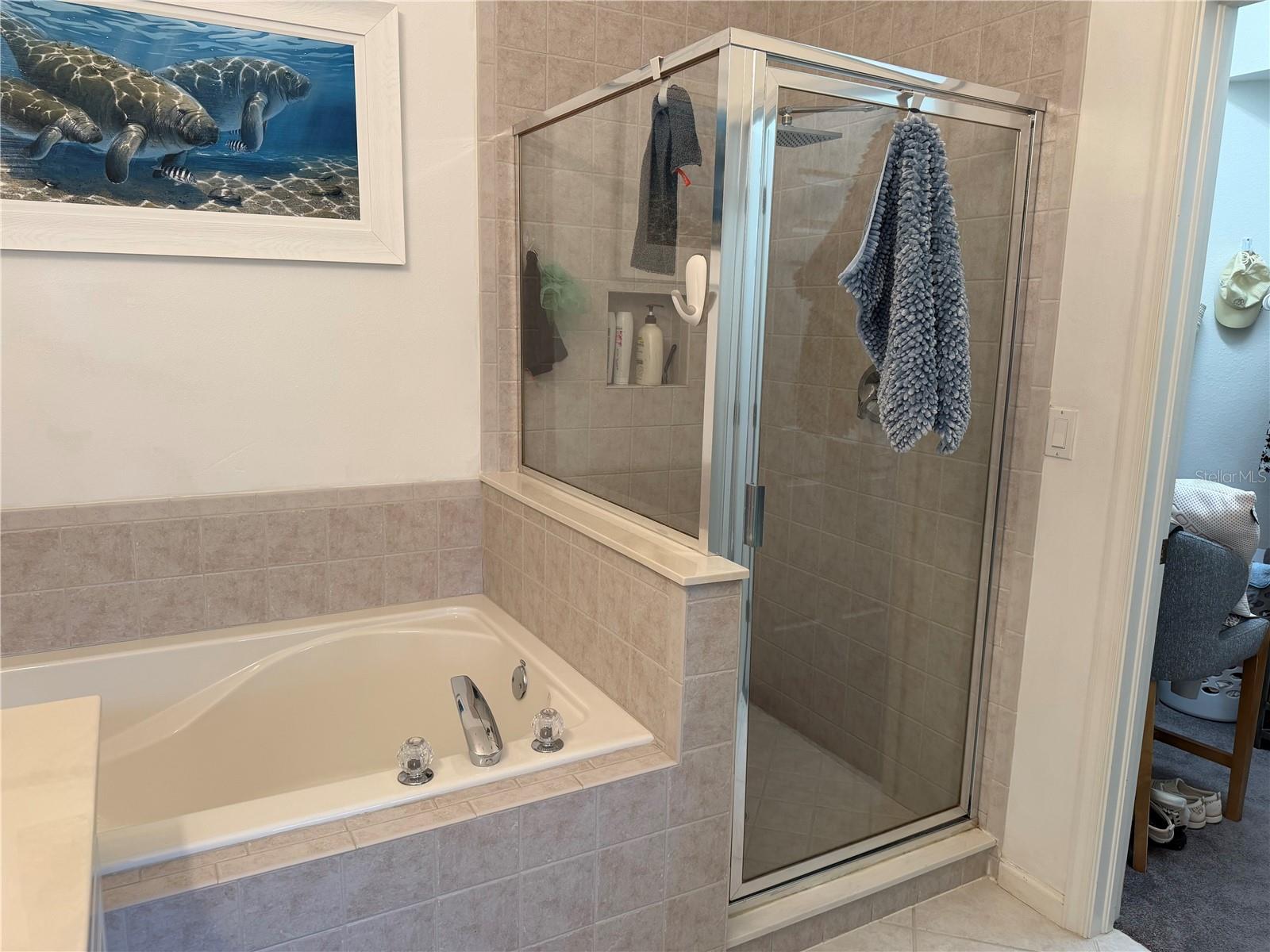 Image 43 of 81 For 3433 Grand Vista Court 202