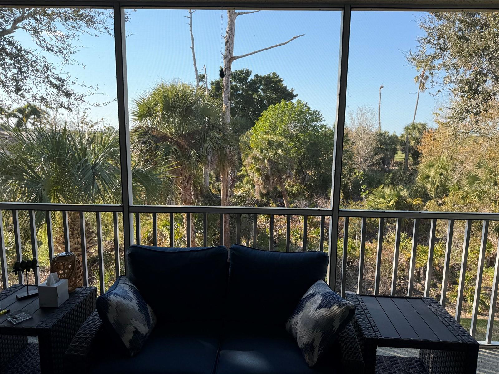 Image 56 of 81 For 3433 Grand Vista Court 202