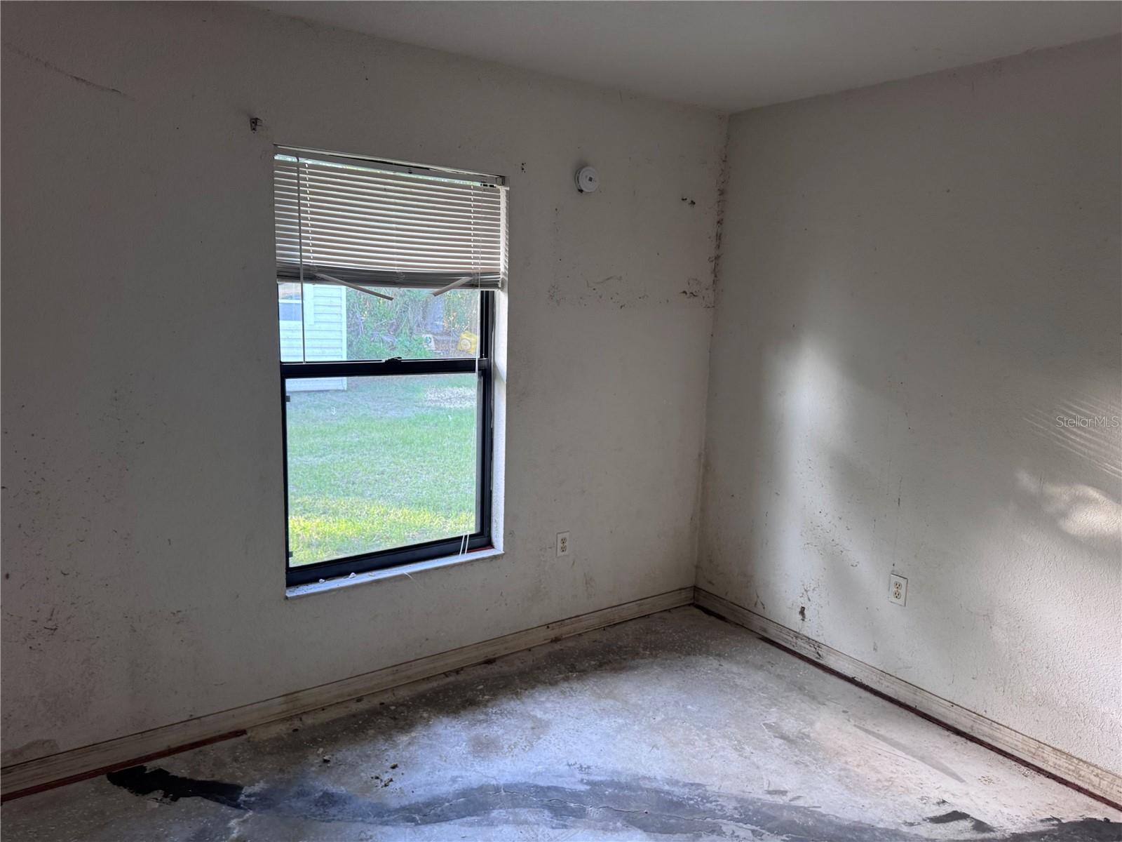 Listing photo id 4 for 3589 Chamberlain Boulevard