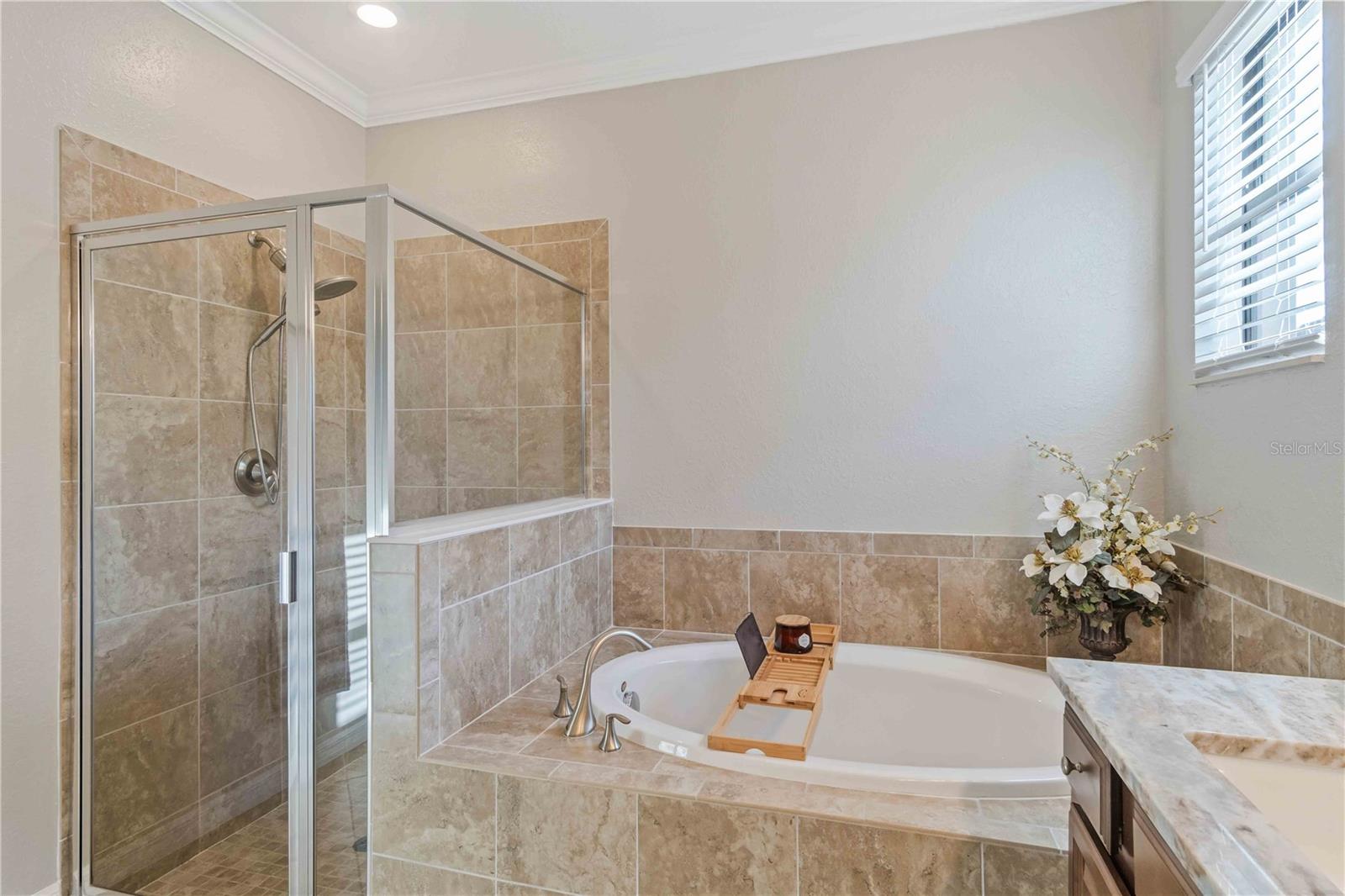 Image 47 of 78 For 13634 Vancanza Drive