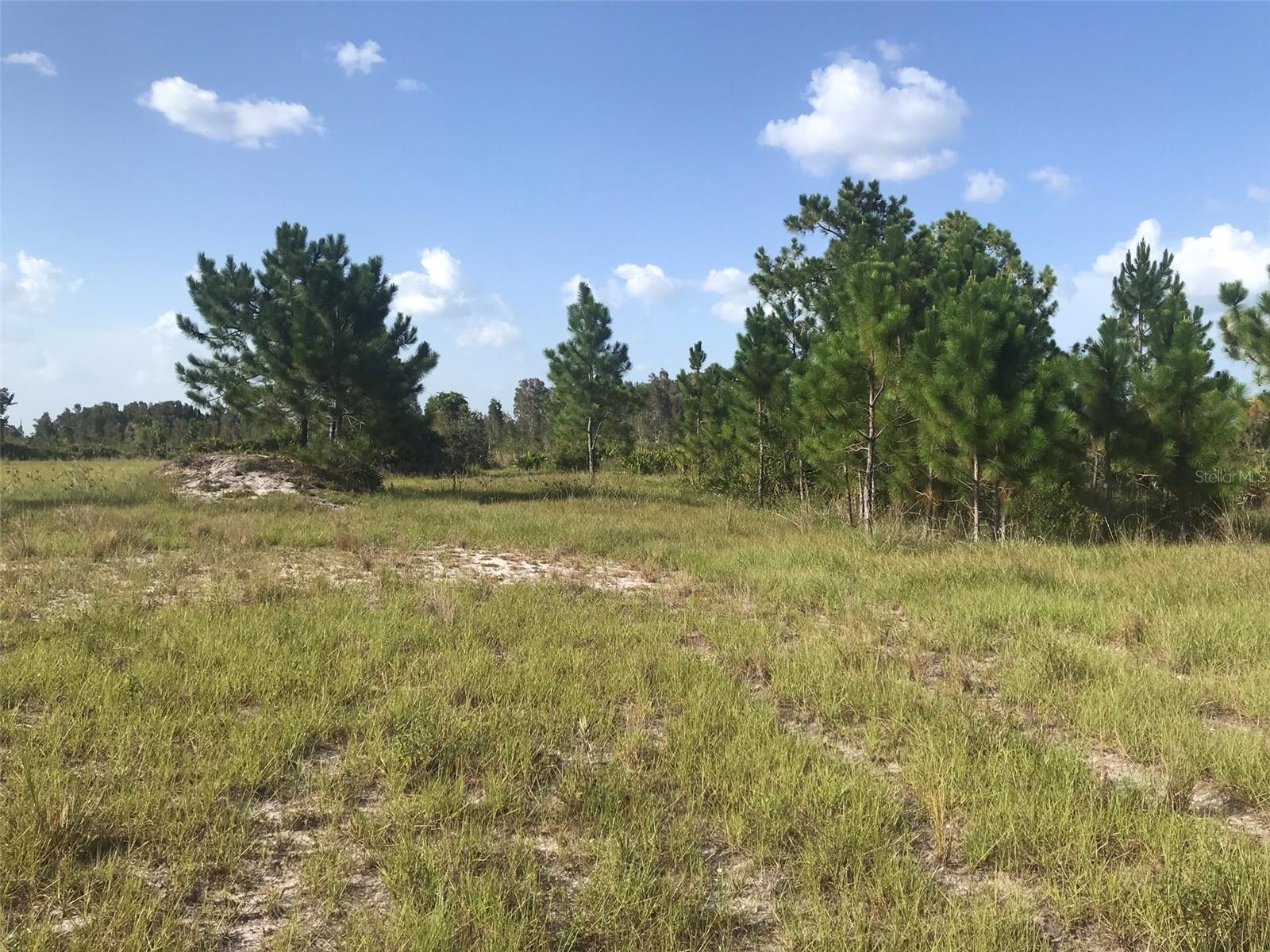 Image 15 of 28 For 48033 Bermont Road