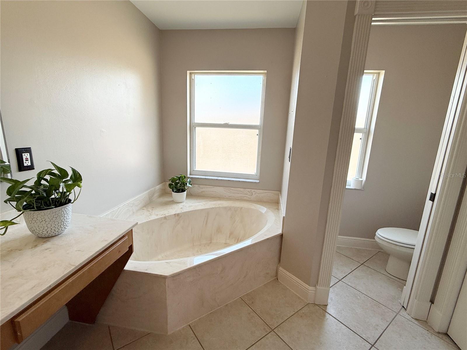 Image 28 of 46 For 6612 Plantation Preserve Cir N Circle N