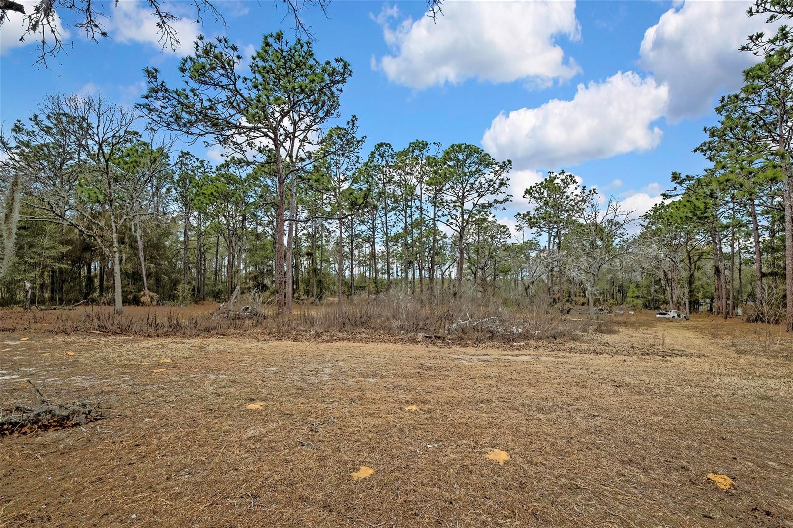 Image 40 of 47 For 12672 Oakview Avenue