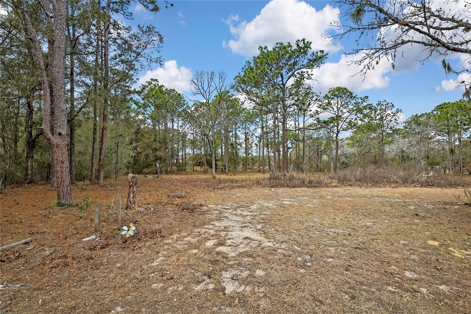 Image 43 of 47 For 12672 Oakview Avenue