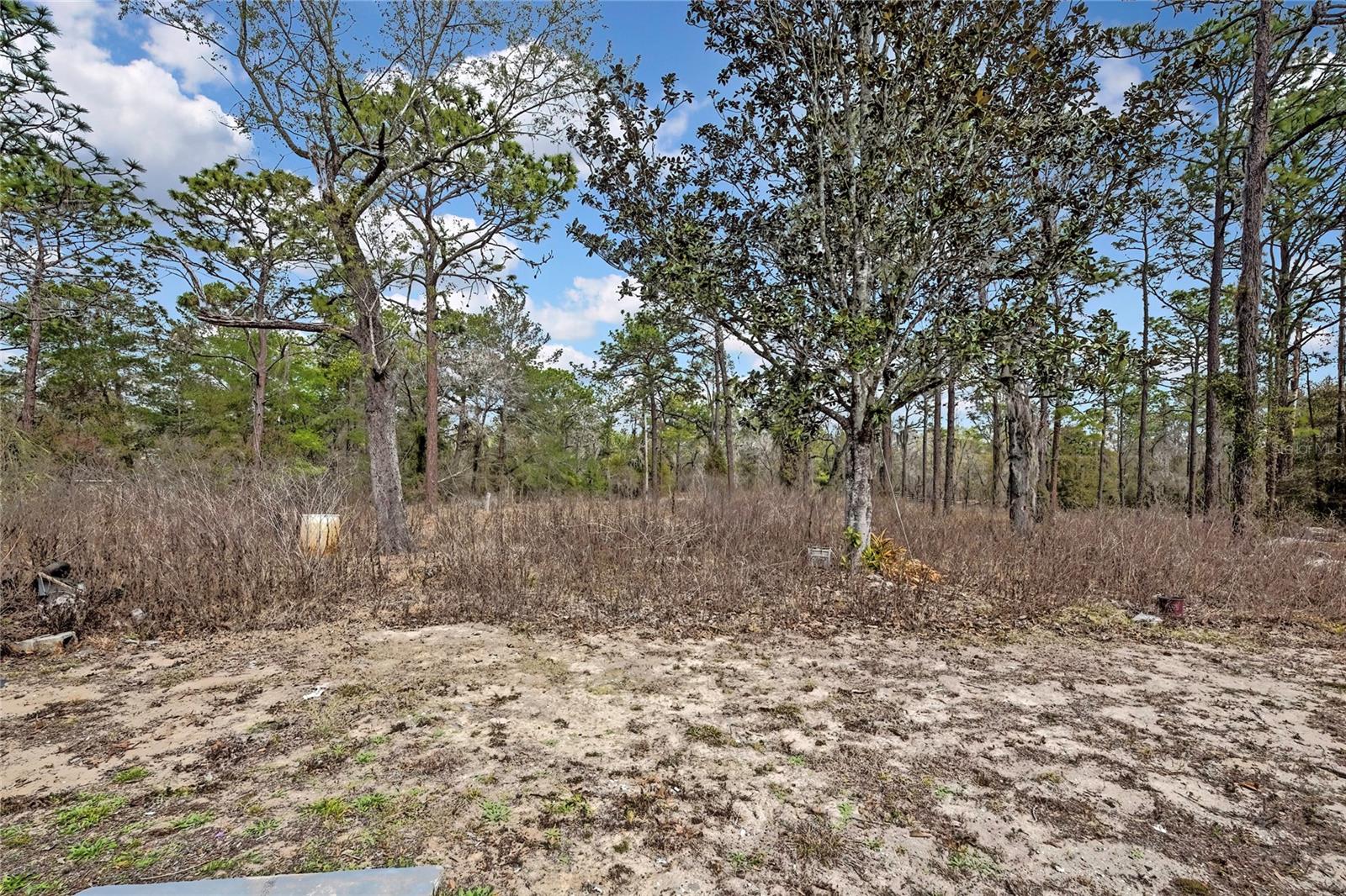 Image 46 of 47 For 12672 Oakview Avenue