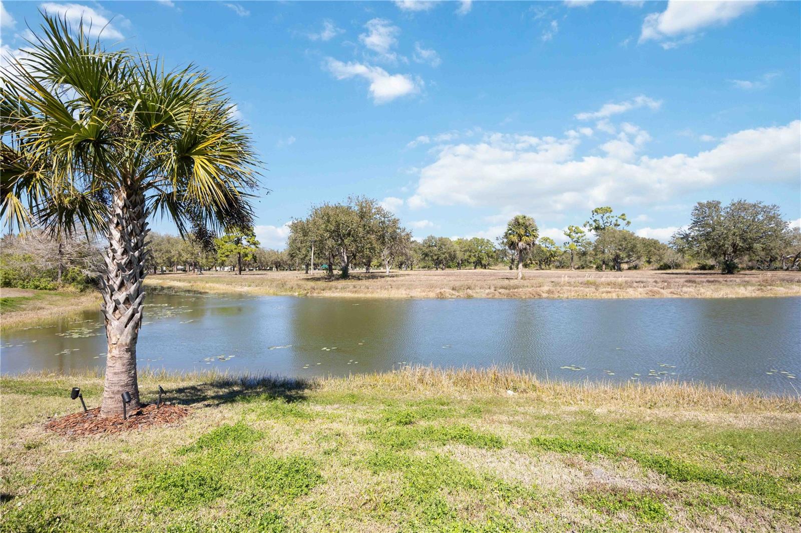 Image 59 of 88 For 11561 Trailwood Drive