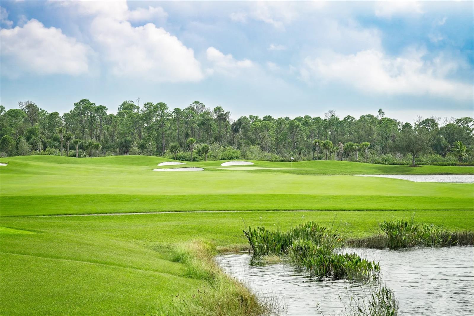 Image 56 of 61 For 14167 Poppy Field Loop 5722