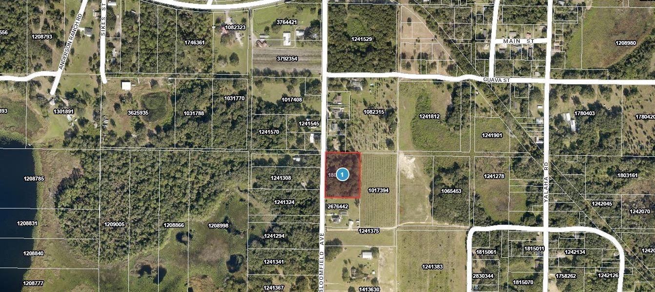Listing Details for 26714 Bloomfield Avenue, YALAHA, FL 34797
