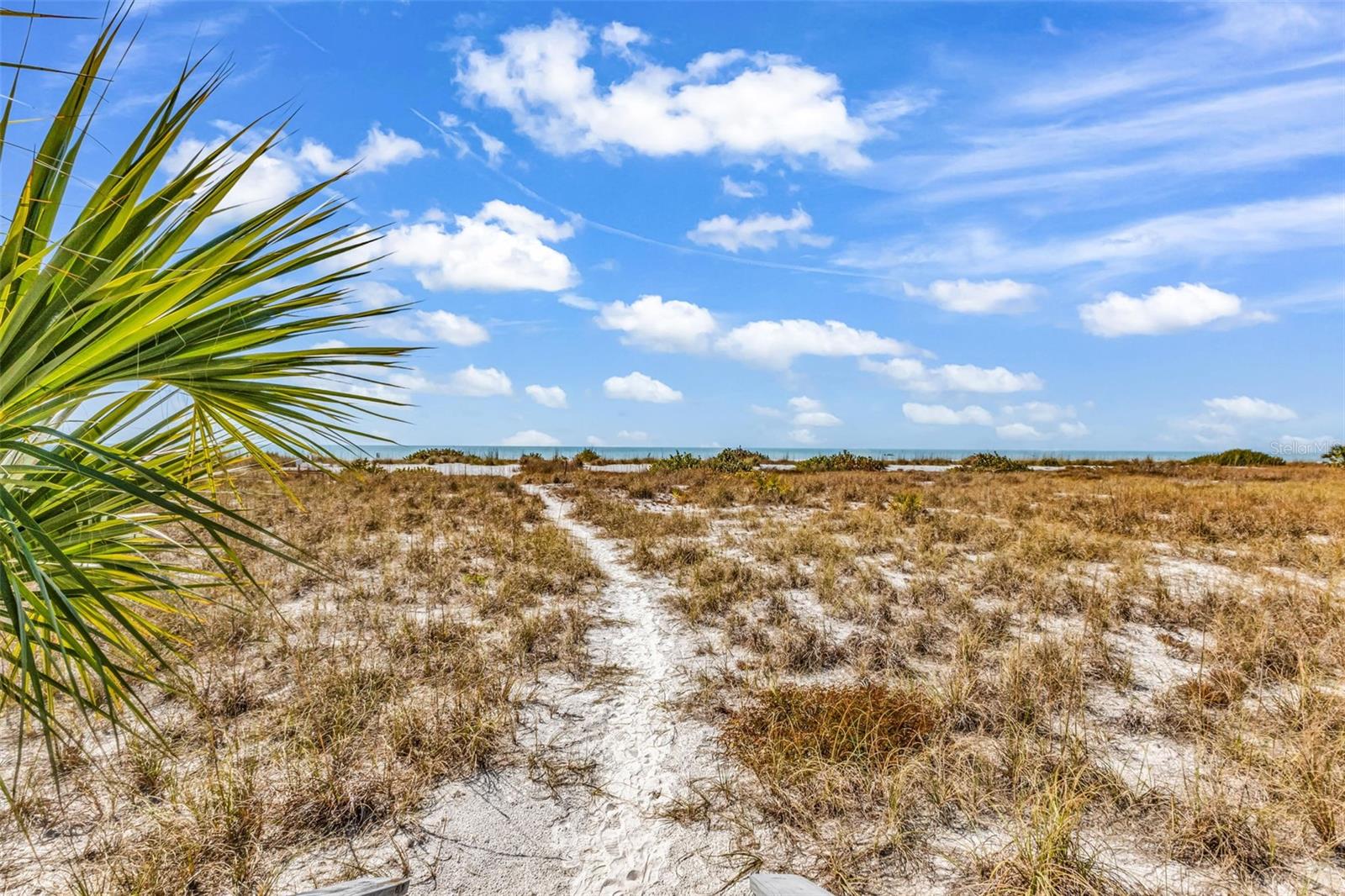 Image 46 of 77 For 7454 Palm Island Drive 3311