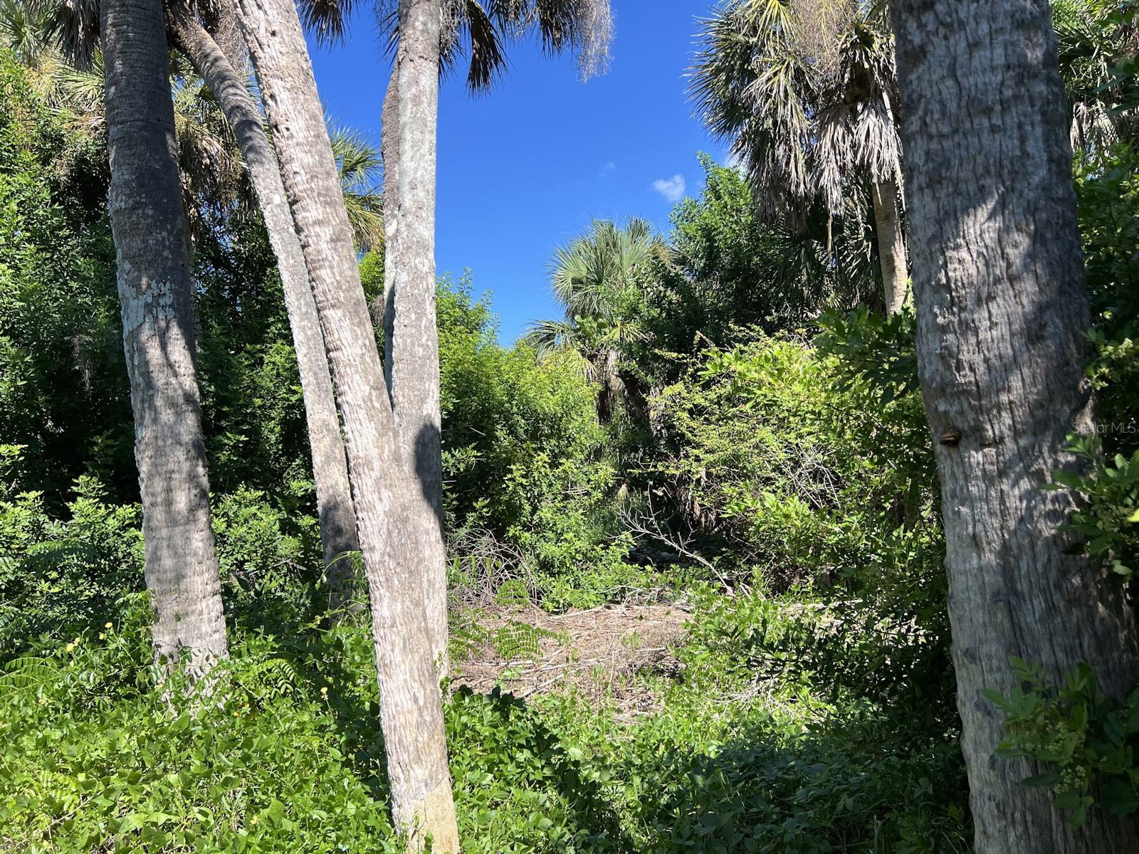 Image 5 of 12 For 10049 Hel-lew Court