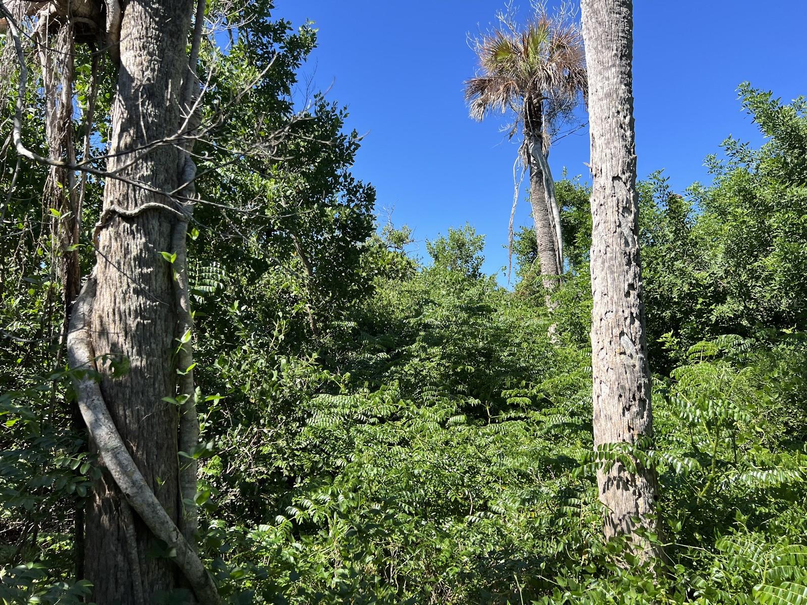 Image 6 of 12 For 10049 Hel-lew Court