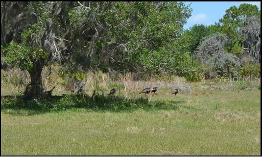 Image 5 of 19 For 834 Logue Road