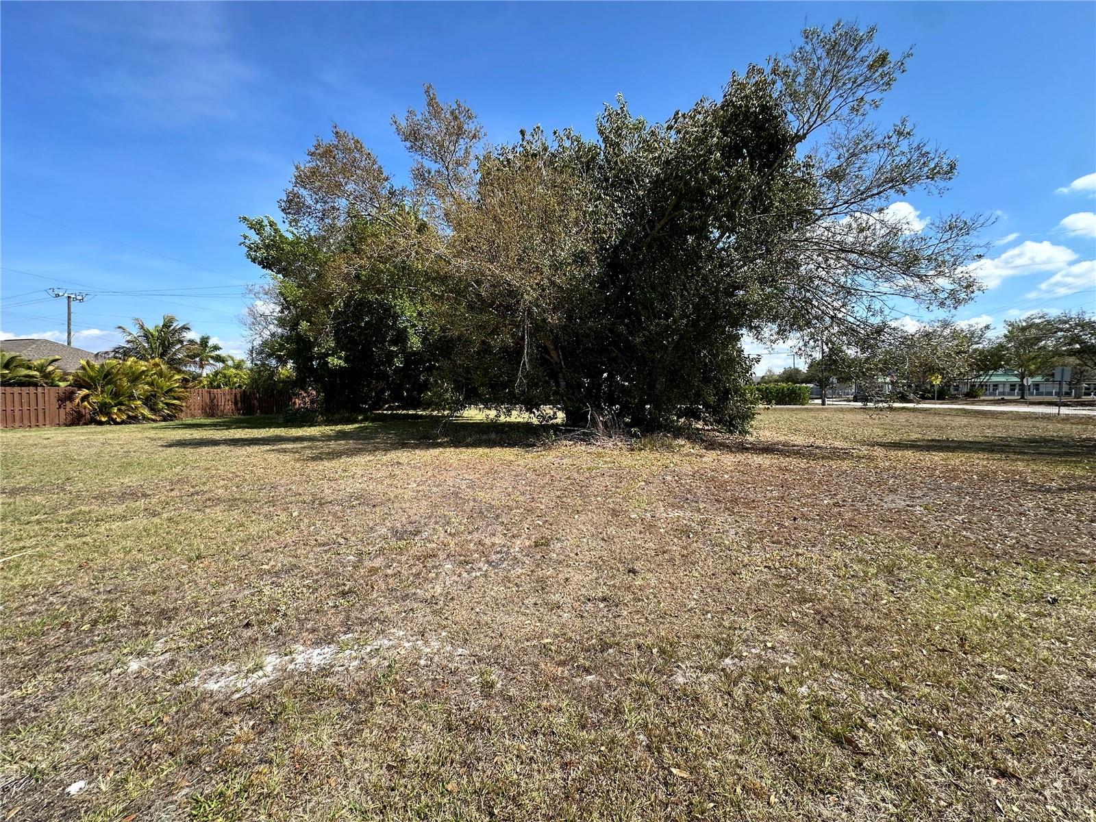 Image 5 of 12 For 350 Allen Street