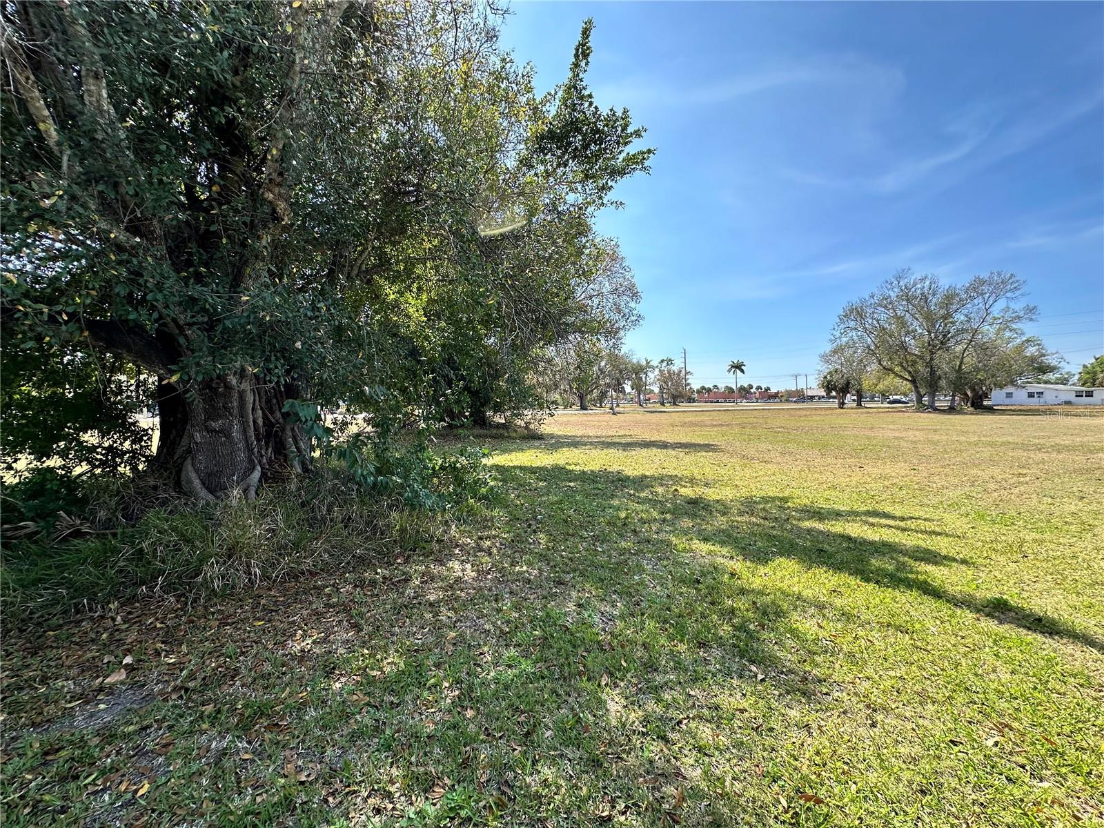 Image 7 of 12 For 350 Allen Street