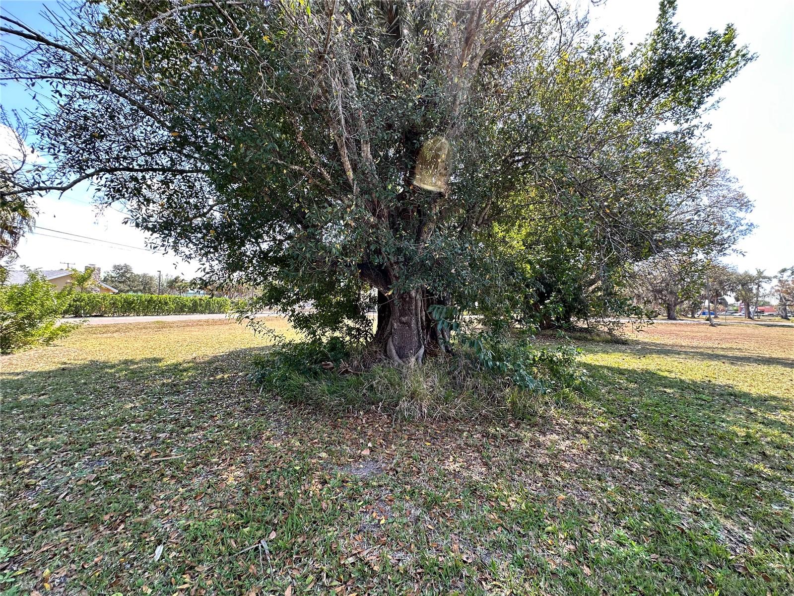 Image 8 of 12 For 350 Allen Street