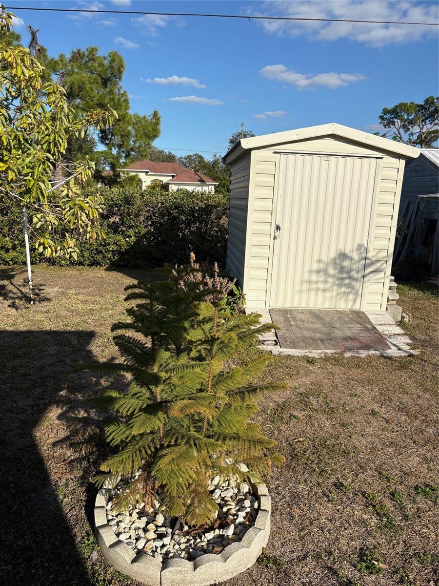 Image 14 of 75 For 321 Venetia Avenue