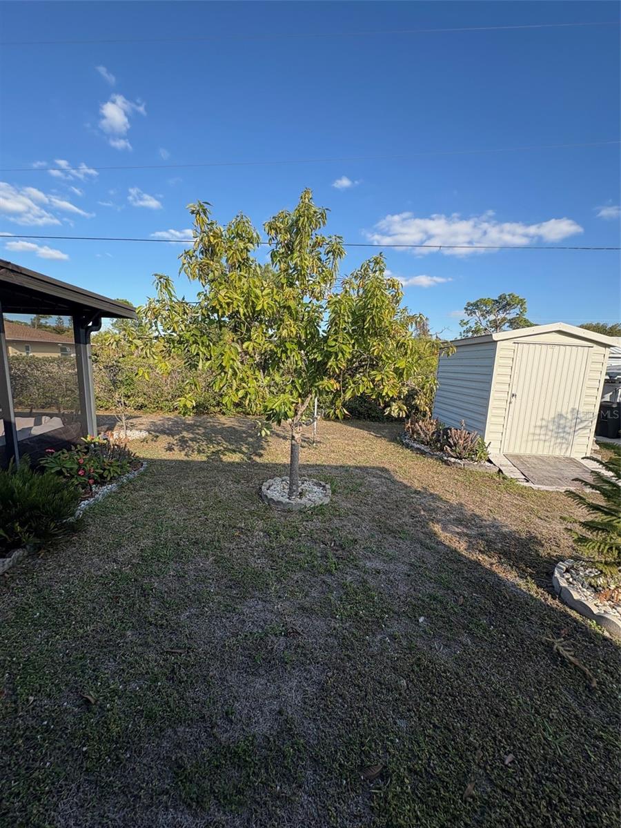 Image 16 of 75 For 321 Venetia Avenue