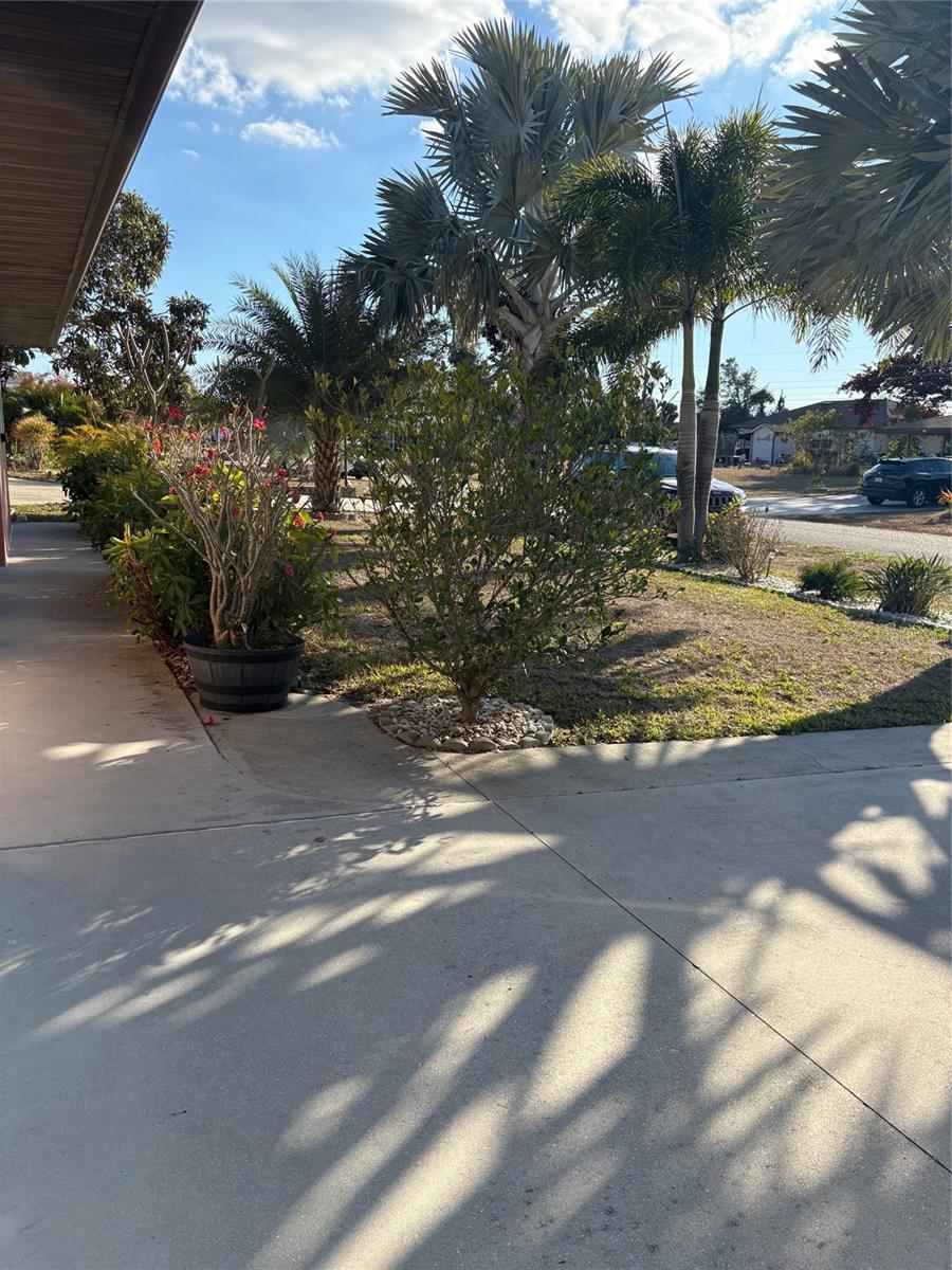 Image 26 of 75 For 321 Venetia Avenue