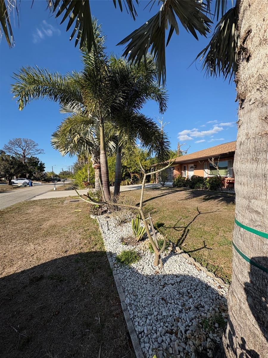 Image 7 of 75 For 321 Venetia Avenue