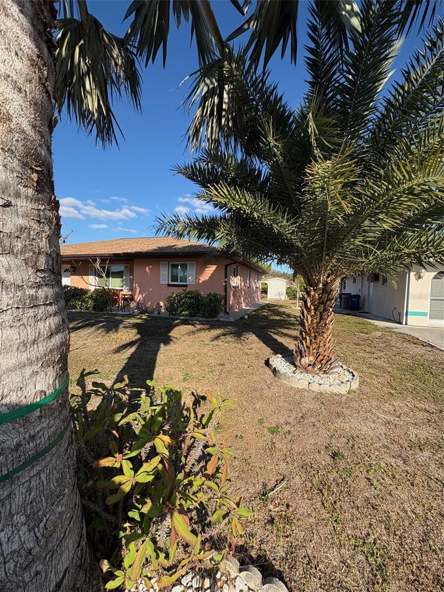 Image 8 of 75 For 321 Venetia Avenue