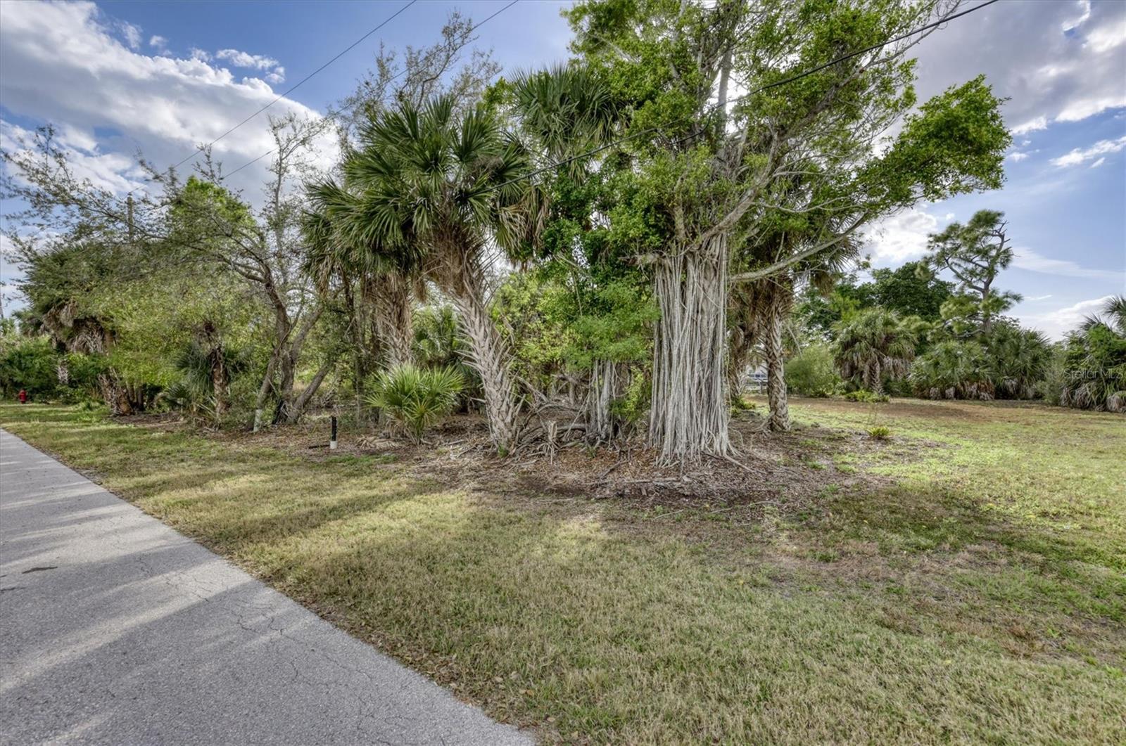 Image 10 of 35 For 3015 Banyan Way