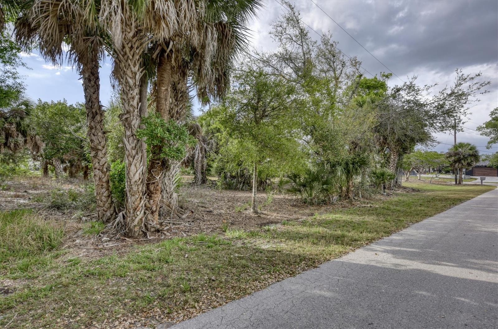 Image 16 of 35 For 3015 Banyan Way