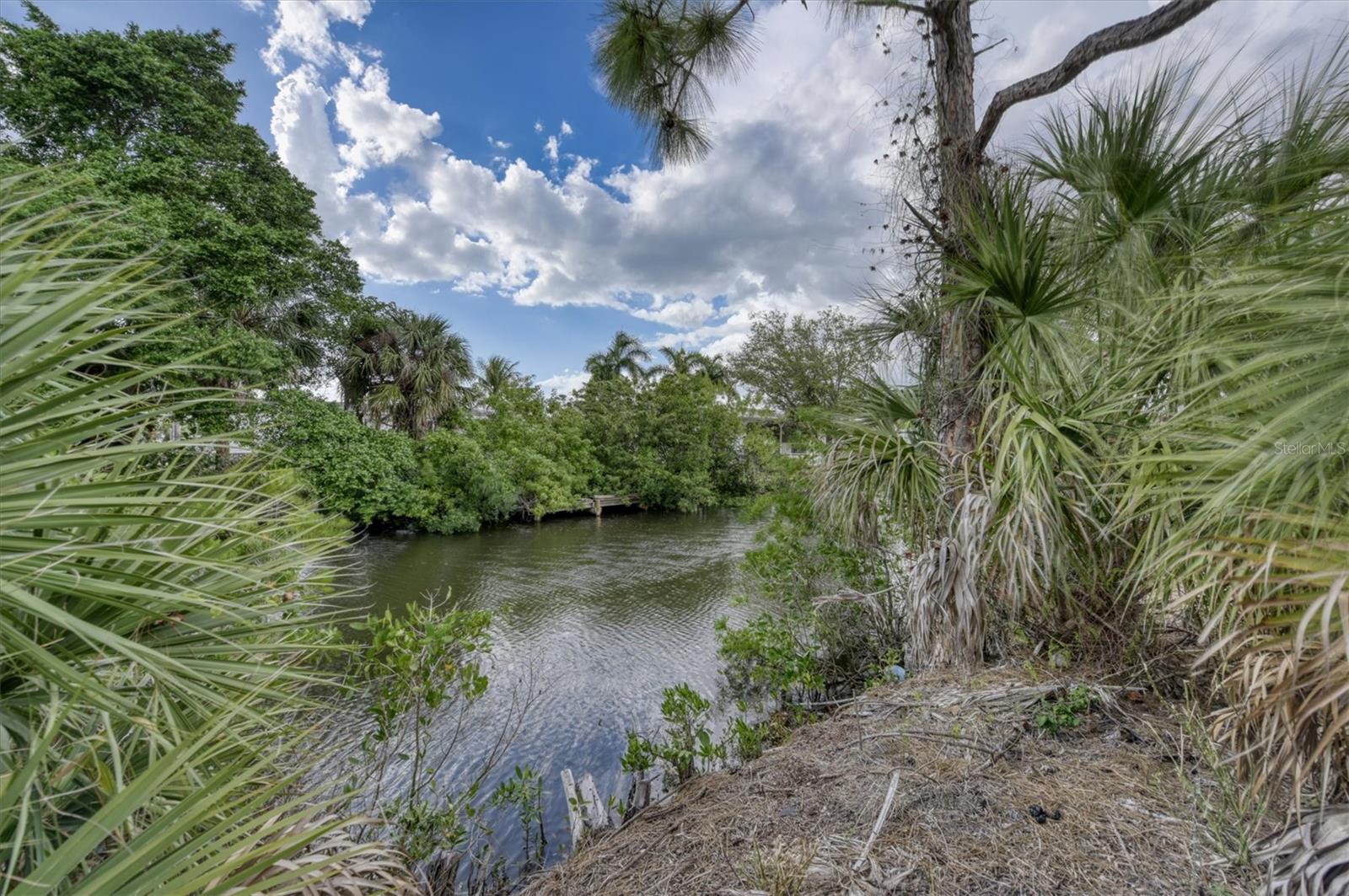 Image 4 of 35 For 3015 Banyan Way