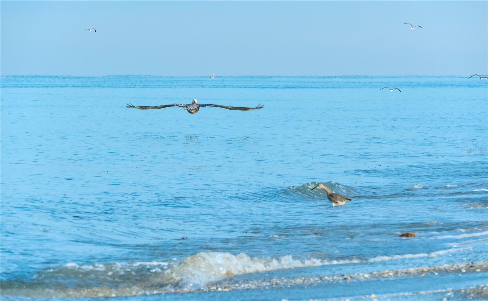 Image 69 of 73 For 159 April Road