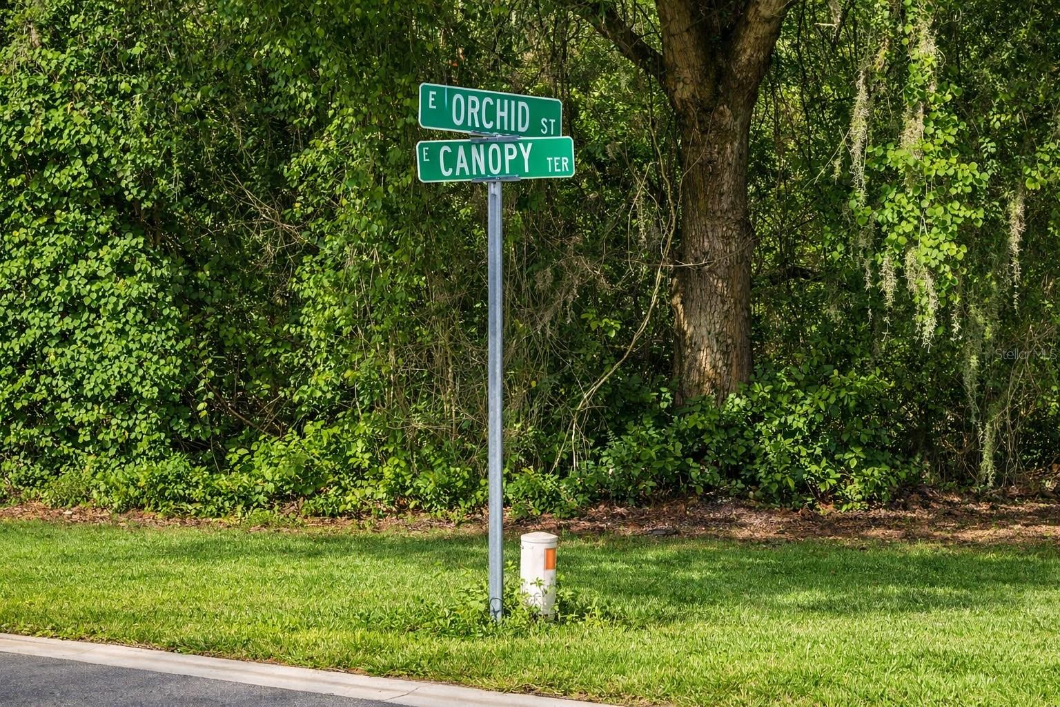 Listing photo id 1 for 6619 Canopy Terrace