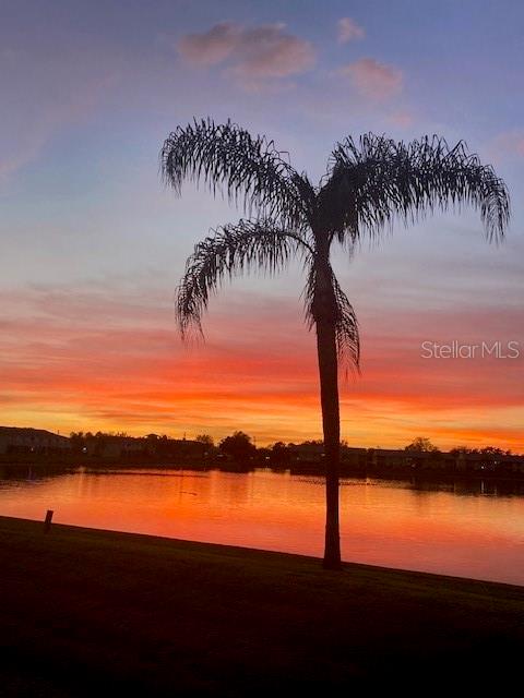 Image 38 of 40 For 1479 San Cristobal Avenue 2104