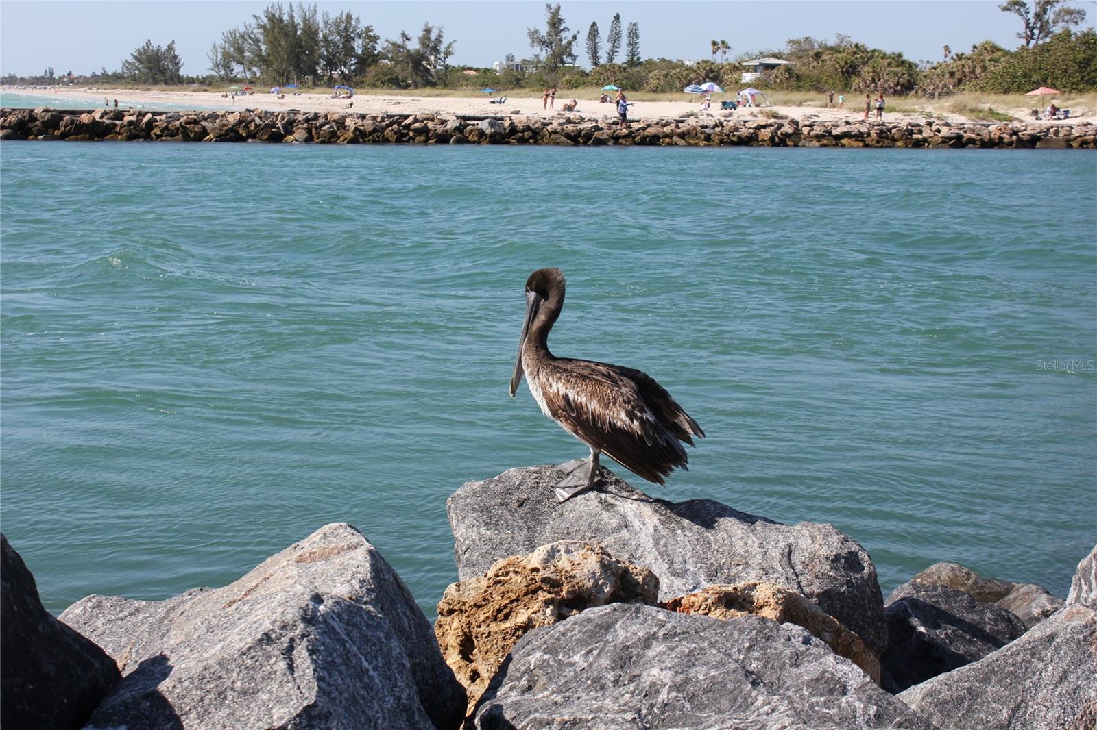 Image 43 of 49 For 20097 Pezzana Drive