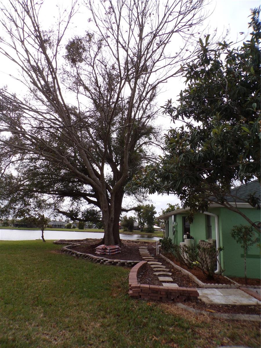 Image 53 of 61 For 2437 Greenland Court