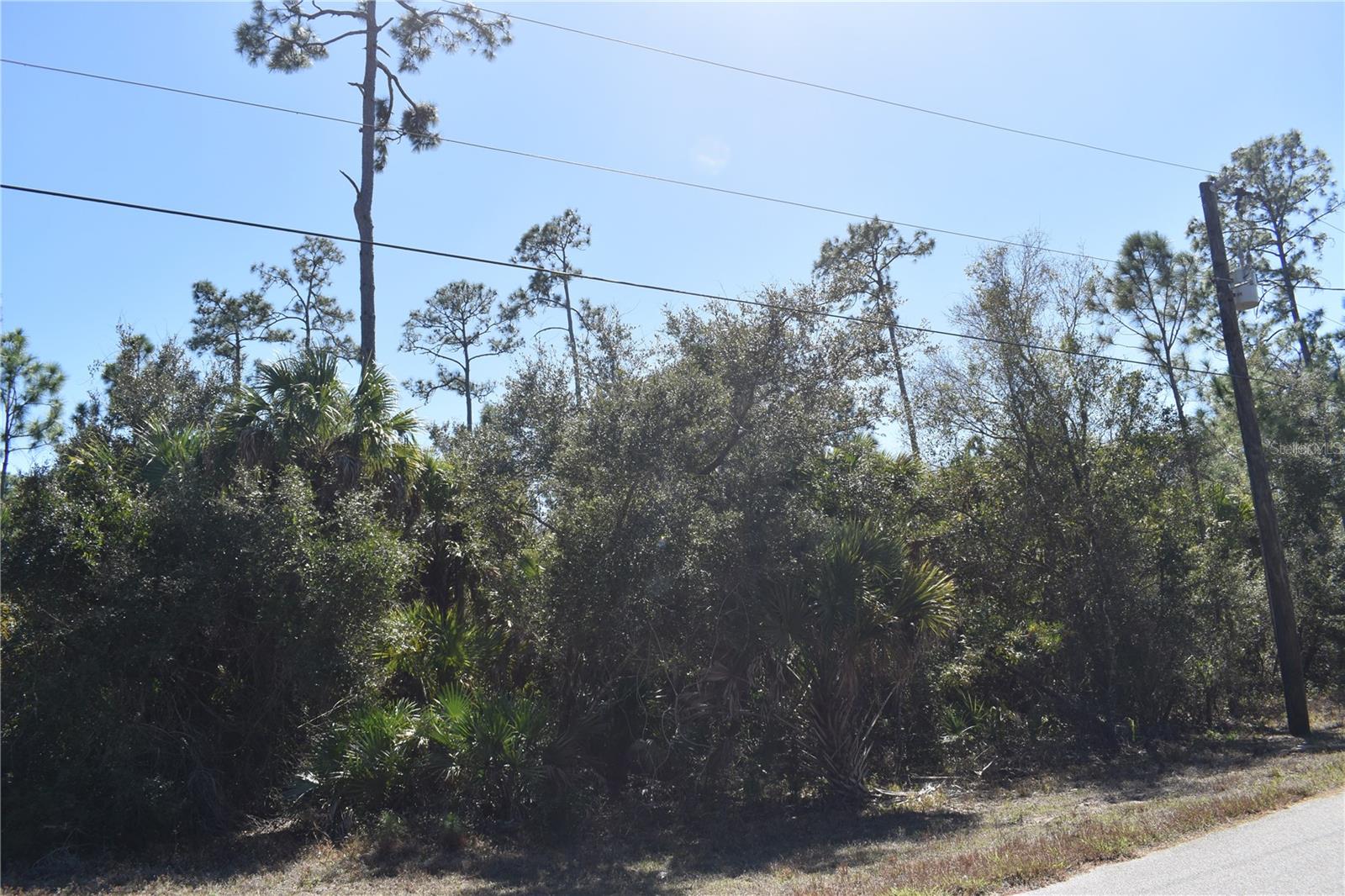 Image 12 of 18 For Eustace Street