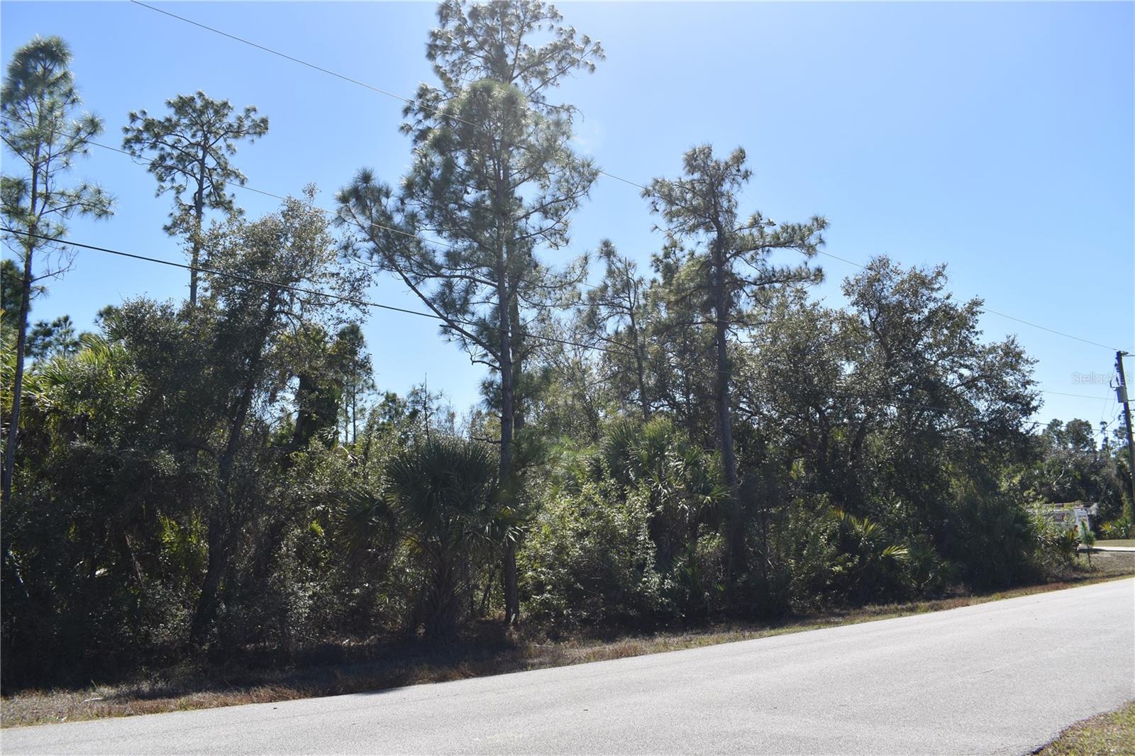 Image 13 of 18 For Eustace Street