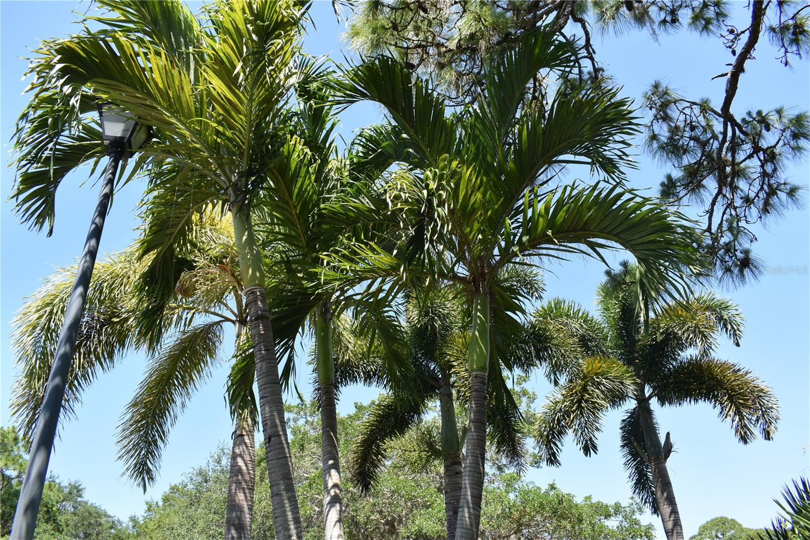 Image 18 of 18 For Eustace Street