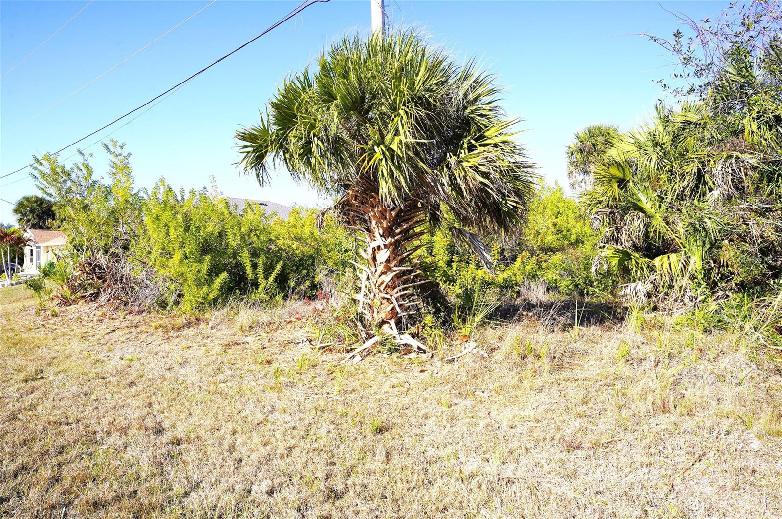 Image 3 of 23 For 142 Sunny Way