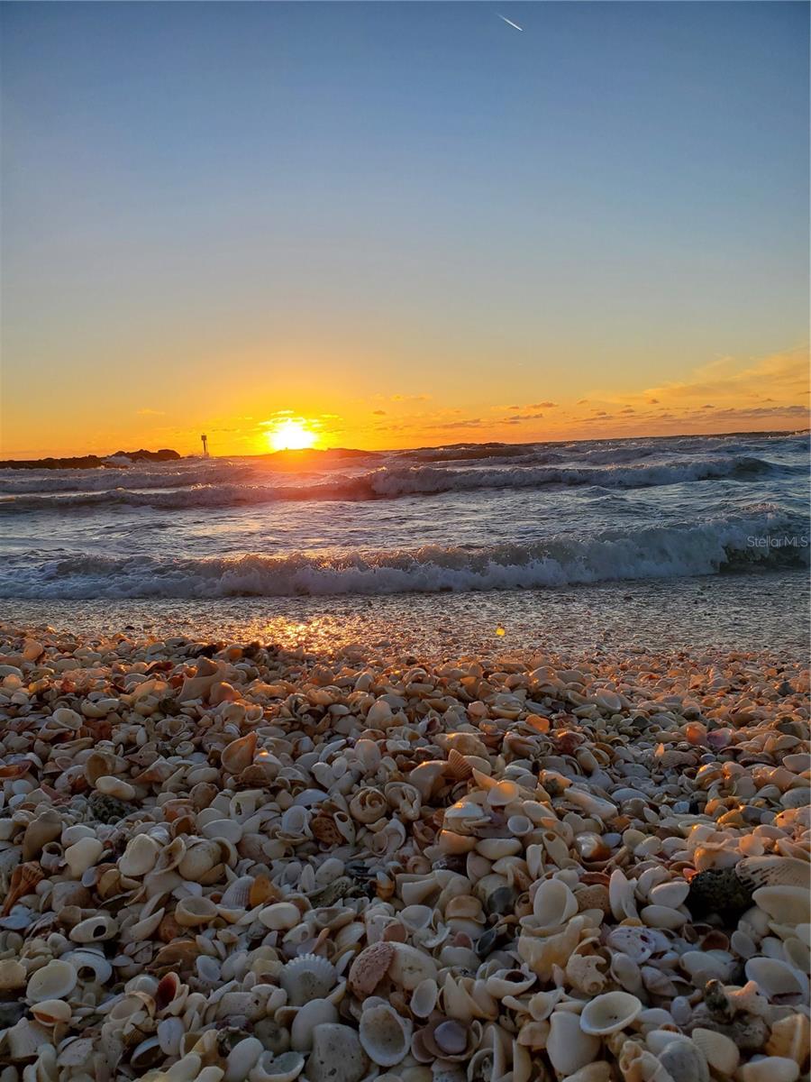 Image 8 of 9 For 11325 Oceanspray Boulevard