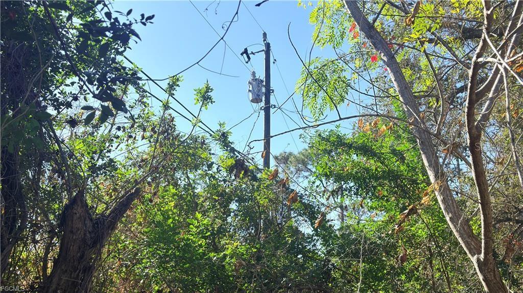 Image 5 of 7 For 8395 Ebson Drive