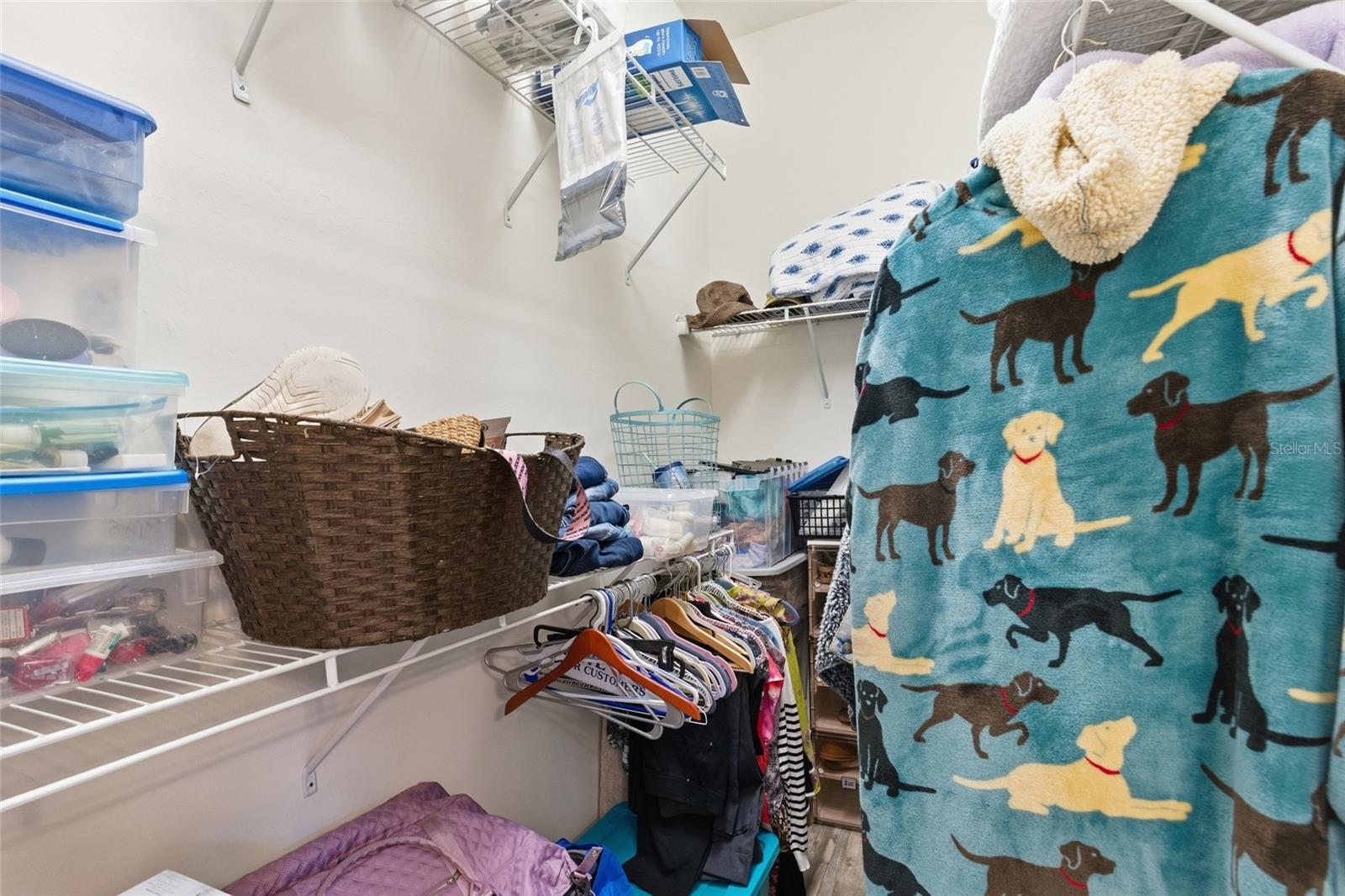 Image 15 of 33 For 19050 Mangieri Street