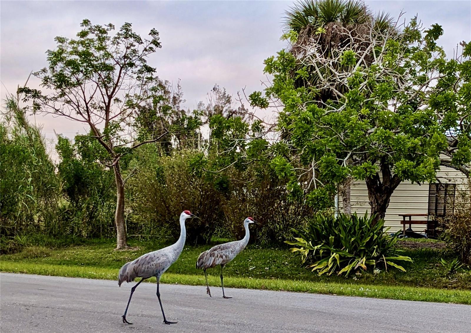 Image 14 of 77 For 14459 River Beach Drive 221