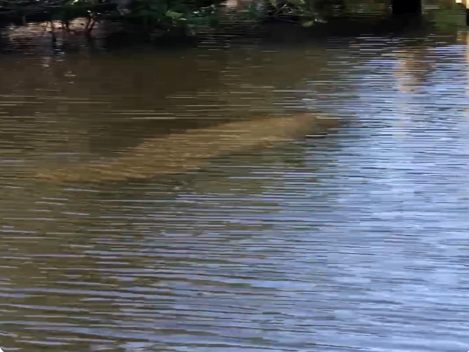 Image 70 of 70 For 2136 Arkansas Avenue