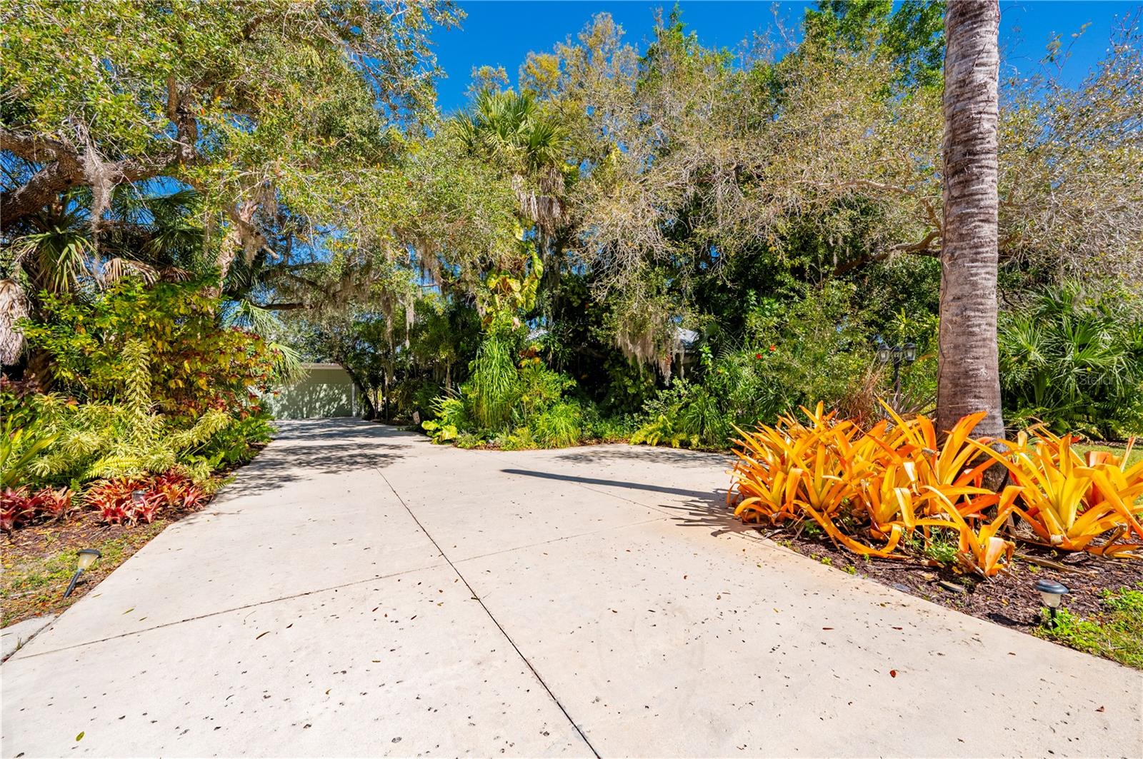 Image 11 of 89 For 29505 Jones Loop Road