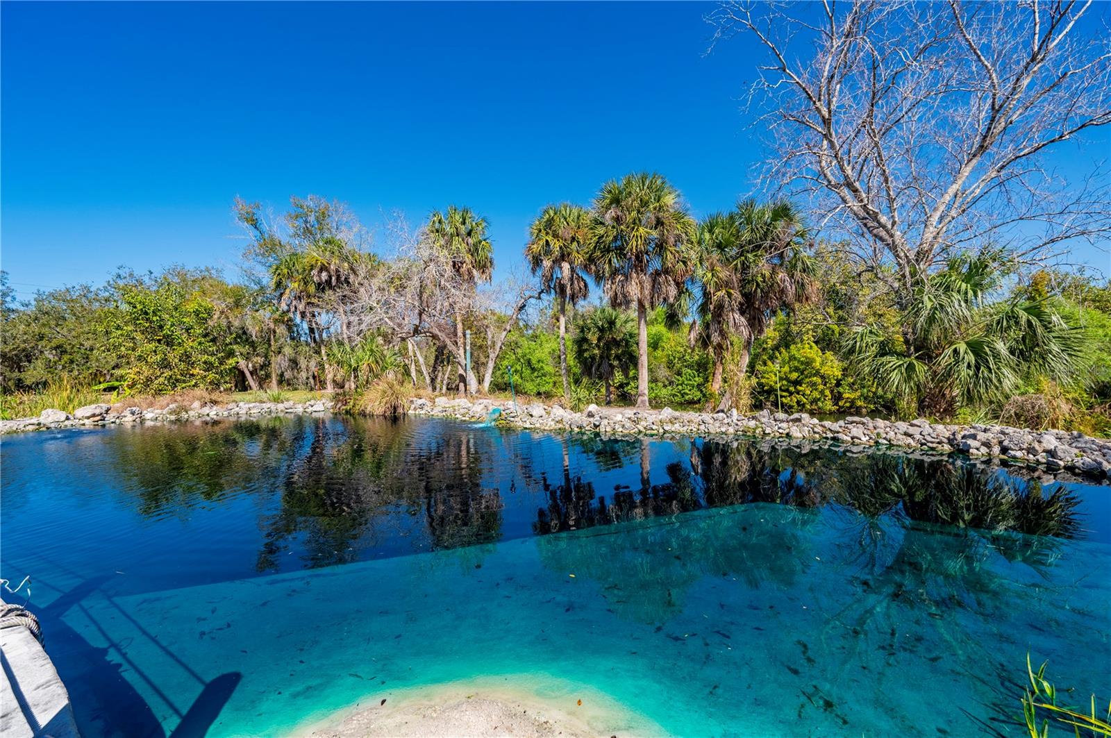 Image 83 of 89 For 29505 Jones Loop Road